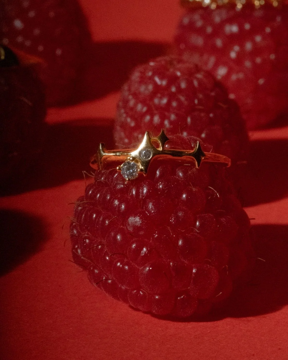 Solid Gold Elira Sparkle Ring - Image 3