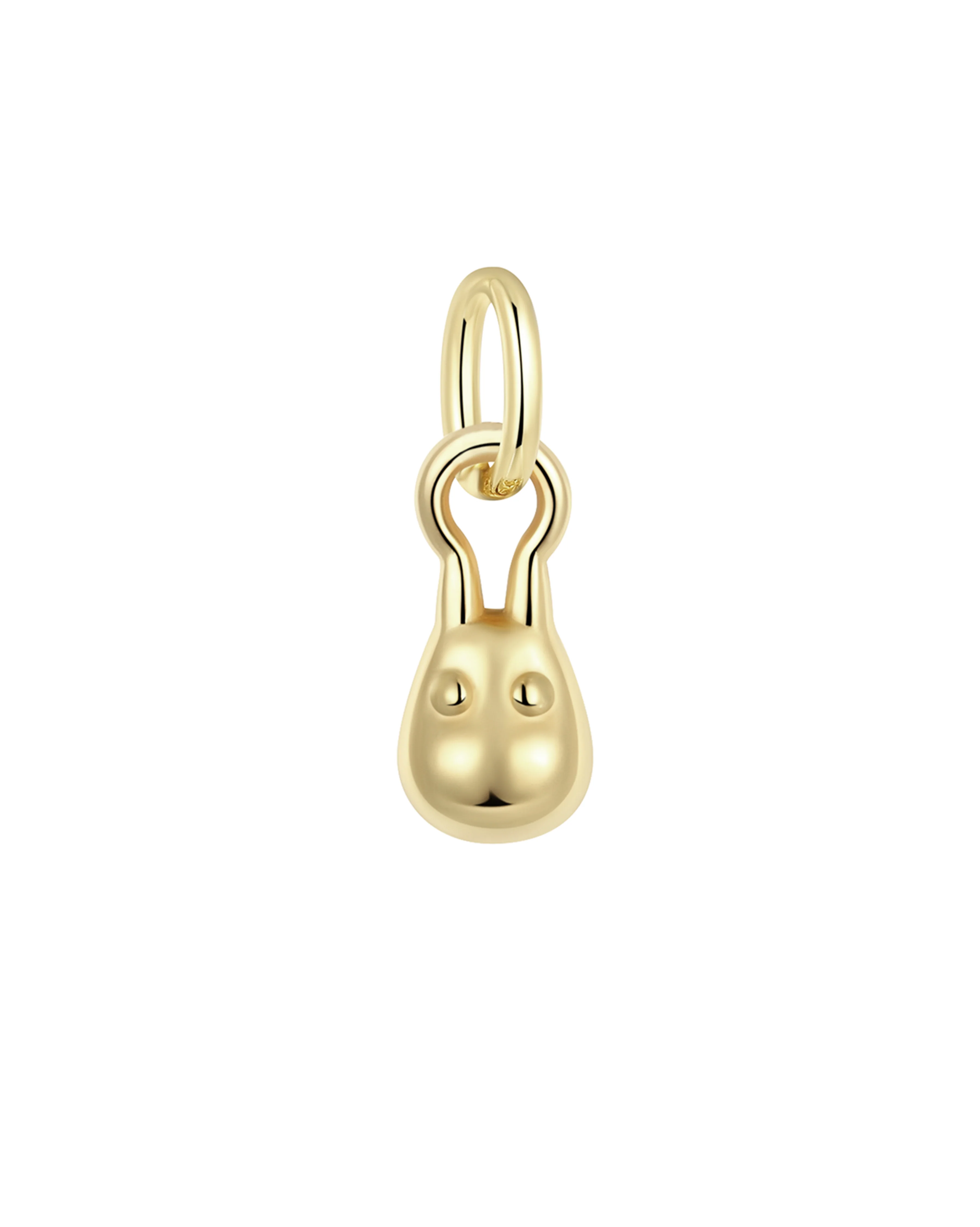 Totoro Charm
